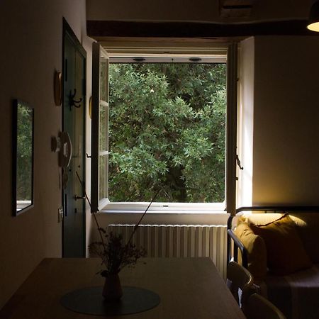 Ferienwohnung La Finestra Sul Parco Lucca Exterior foto