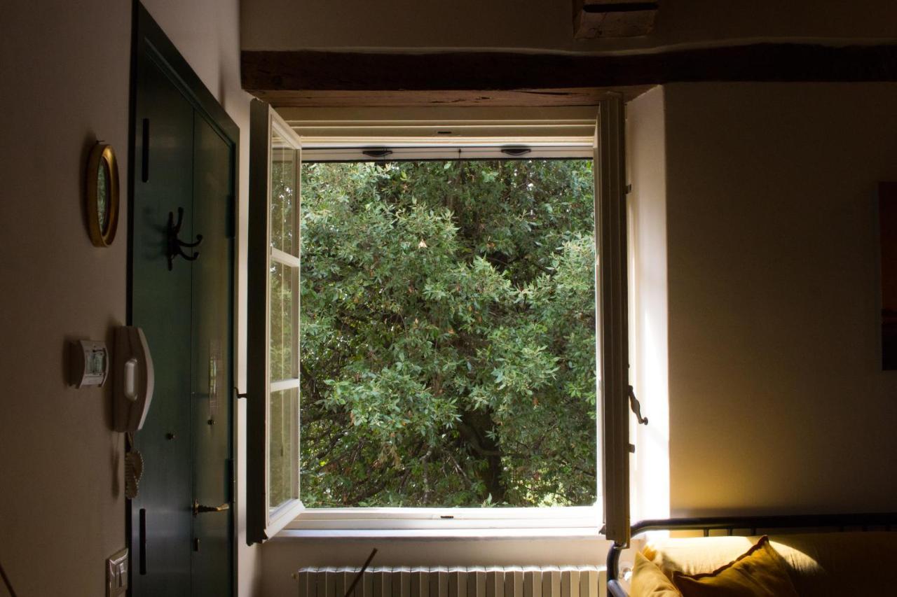 Ferienwohnung La Finestra Sul Parco Lucca Exterior foto